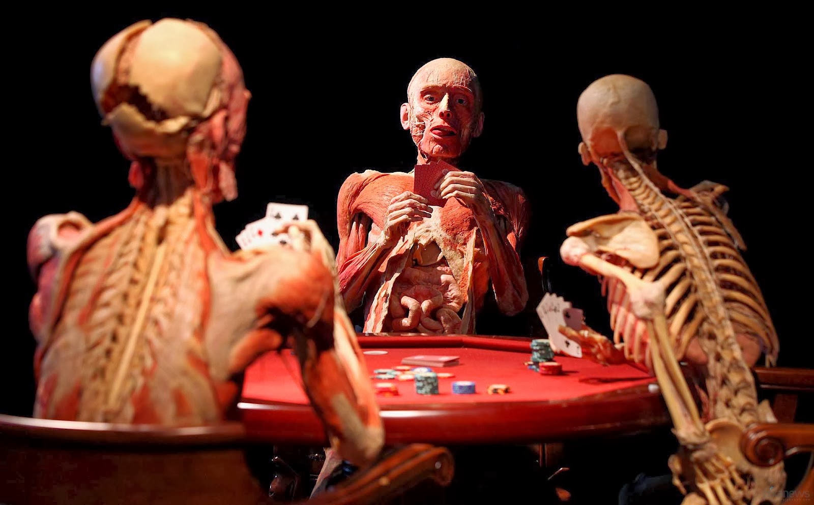 Real bodies, il corpo umano in mostra a Roma dall’8 aprile