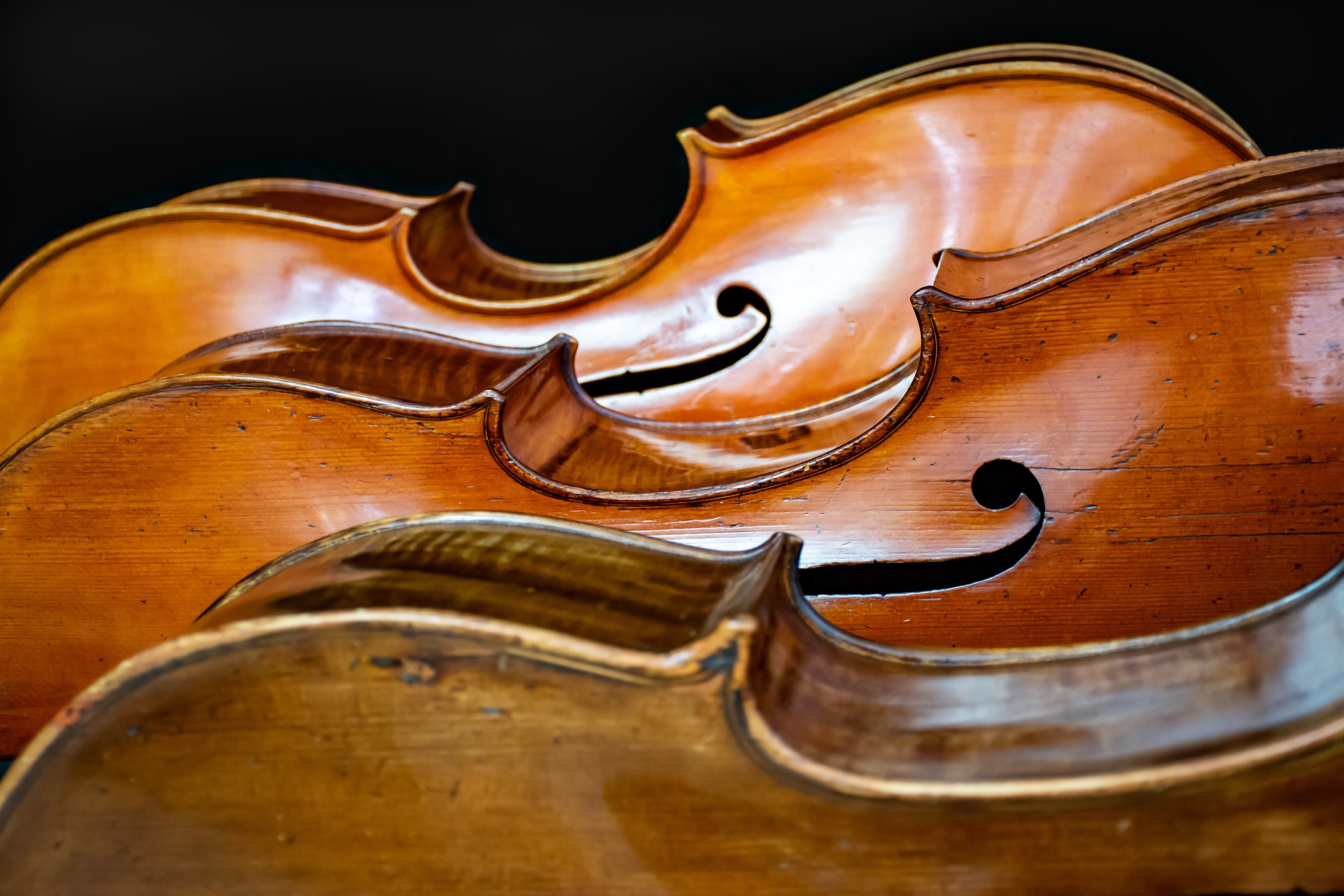 Mario Brunello spiega ed esegue i capolavori di Bach