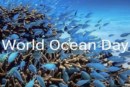 In arrivo la trentesima edizione della giornata mondiale degli oceani