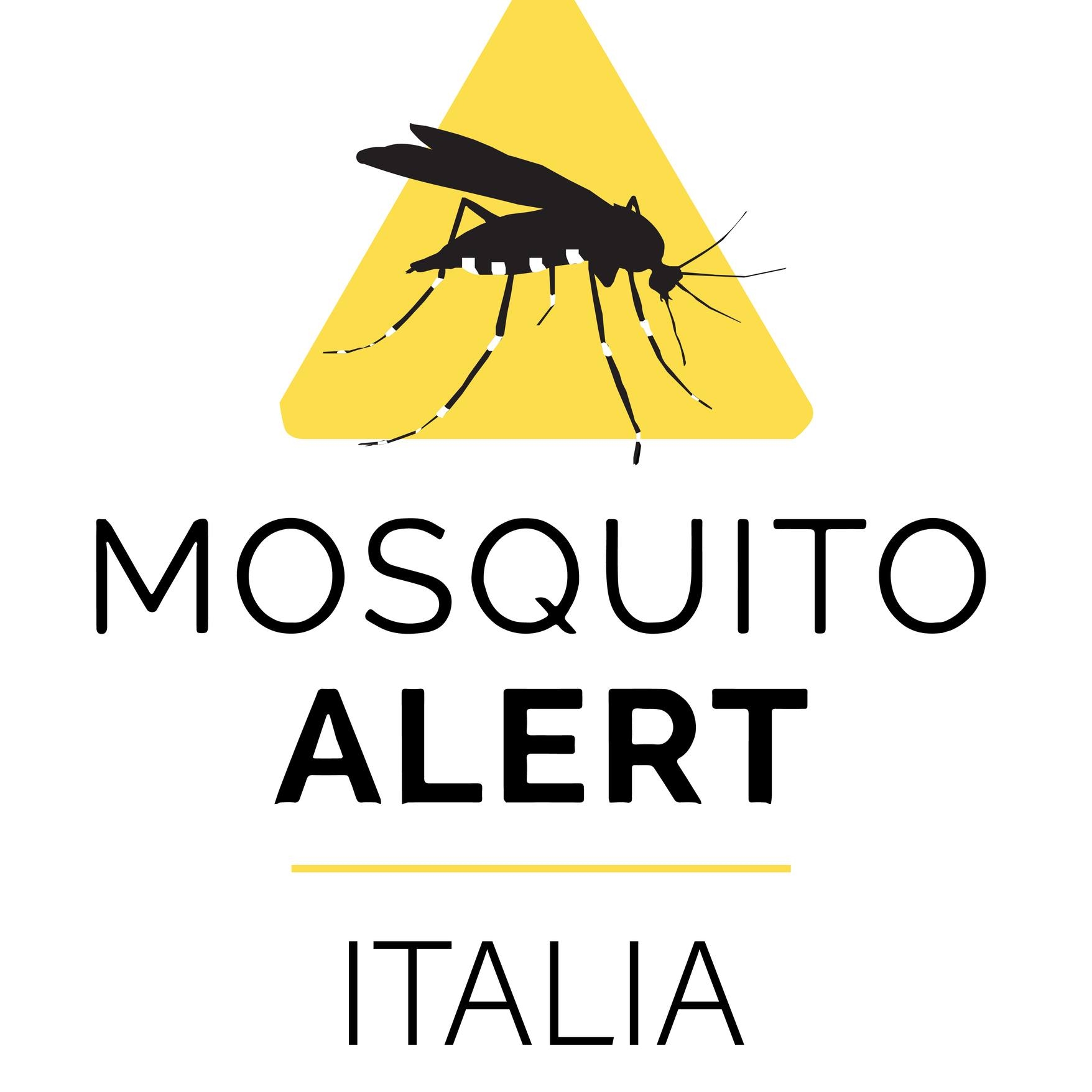 Zanzare che trasmettono virus: tracciarle è importante. Con l’app Mosquito Alert, i cittadini aiutano i ricercatori