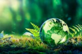 Il nuovo fondo di Innova Italia per sostenere le aziende green
