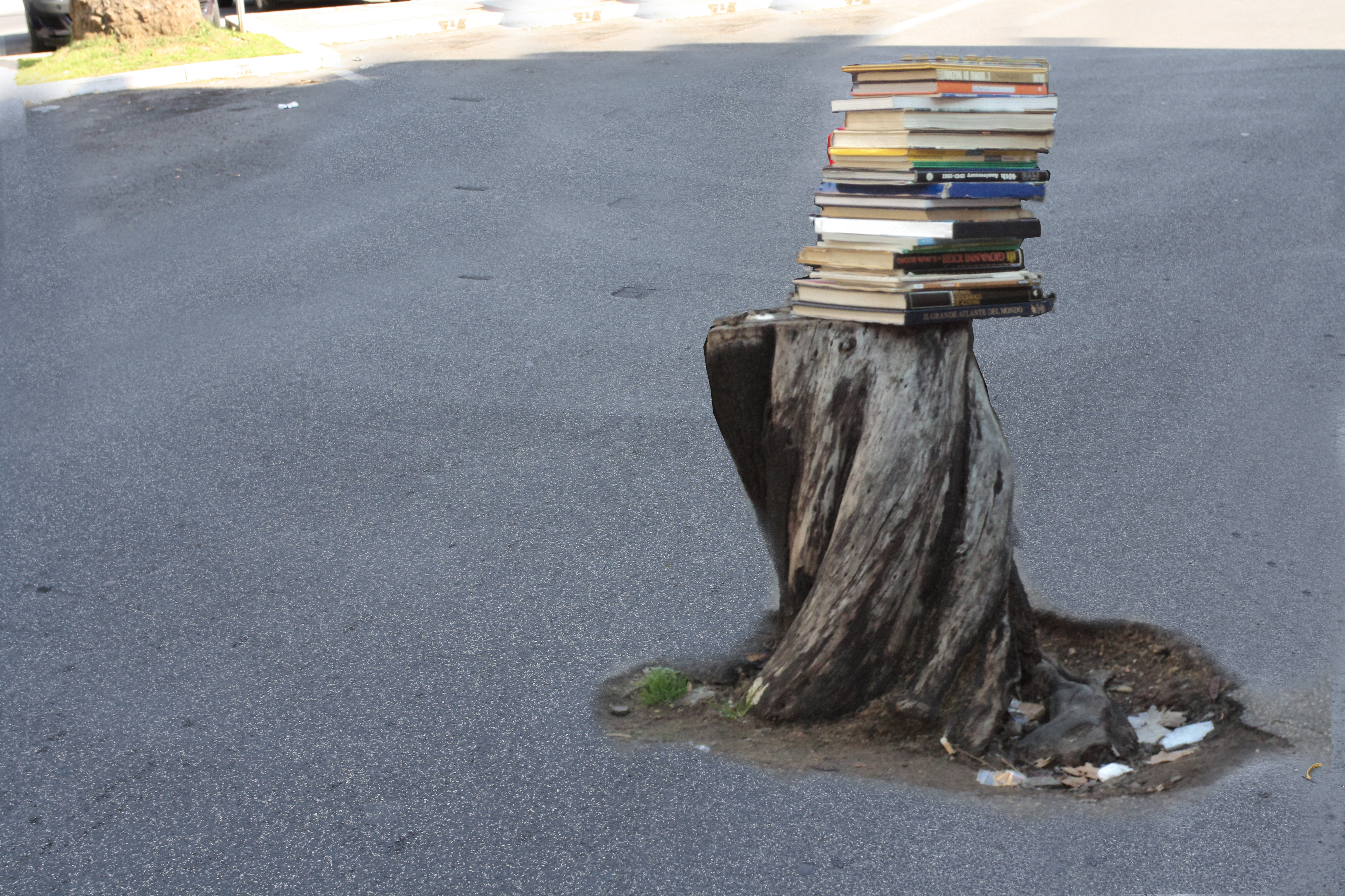 L' importanza dei libri, per far crescere l' albero composto dai rami dell' ascolto e dell' incontro.