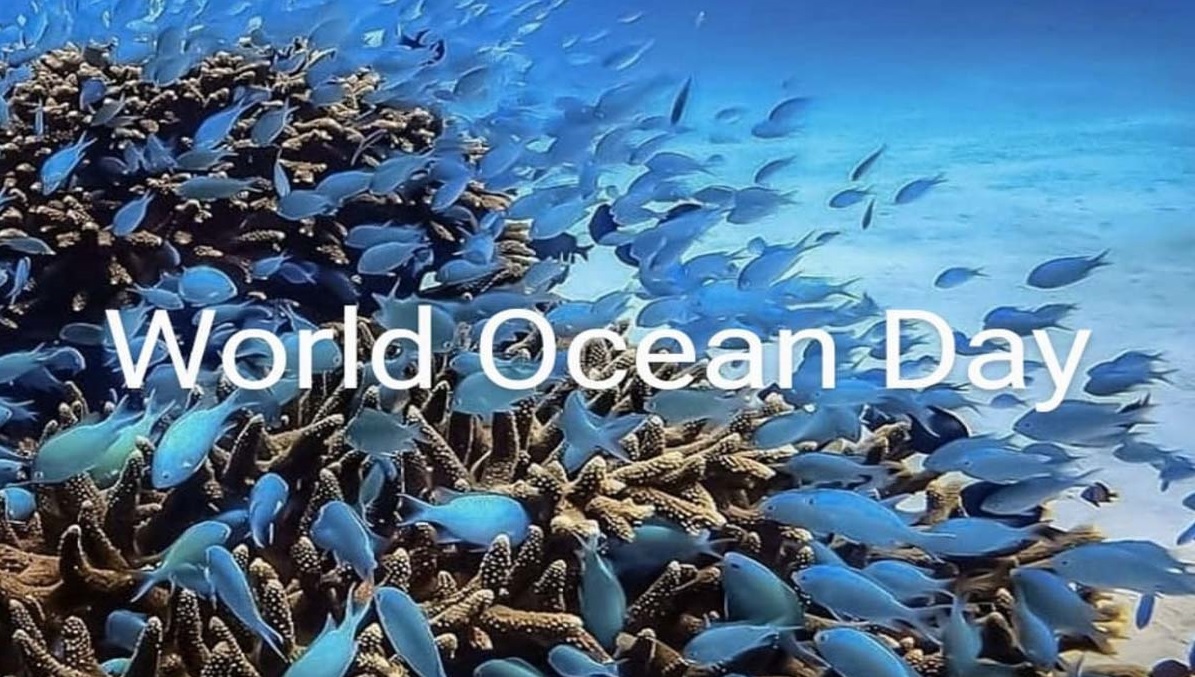 Trentesima edizione della giornata mondiale degli oceani, l' 8 giugno 2022.